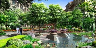 1576512452822_394X262_2