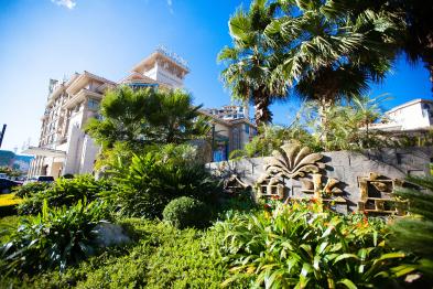 1576512453804_394X262_2