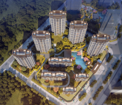 1709632022046_375X210_2